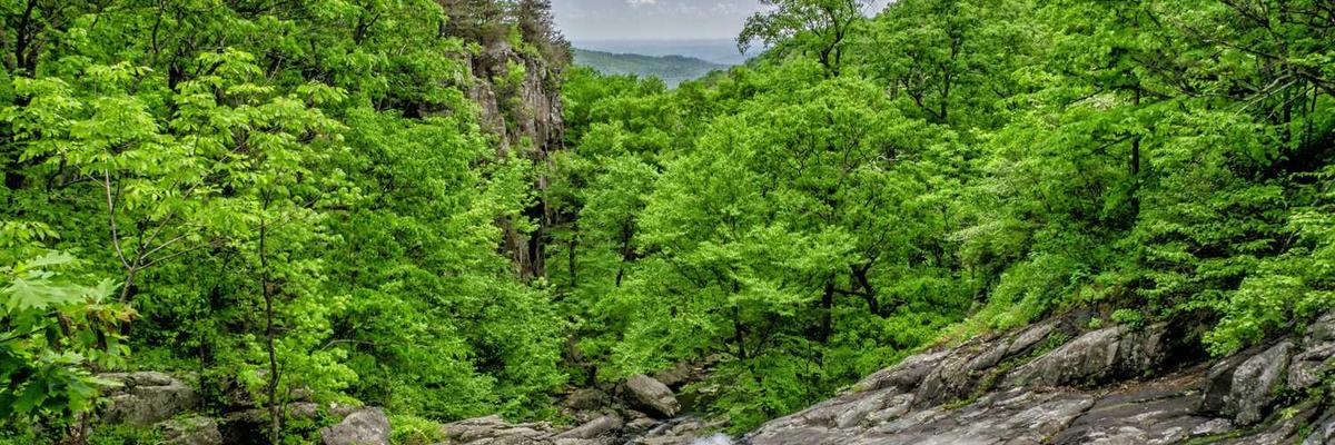 热门九妖官方版下载-九妖正版v1.3.5-视频动漫网站入口大全在线免费推荐